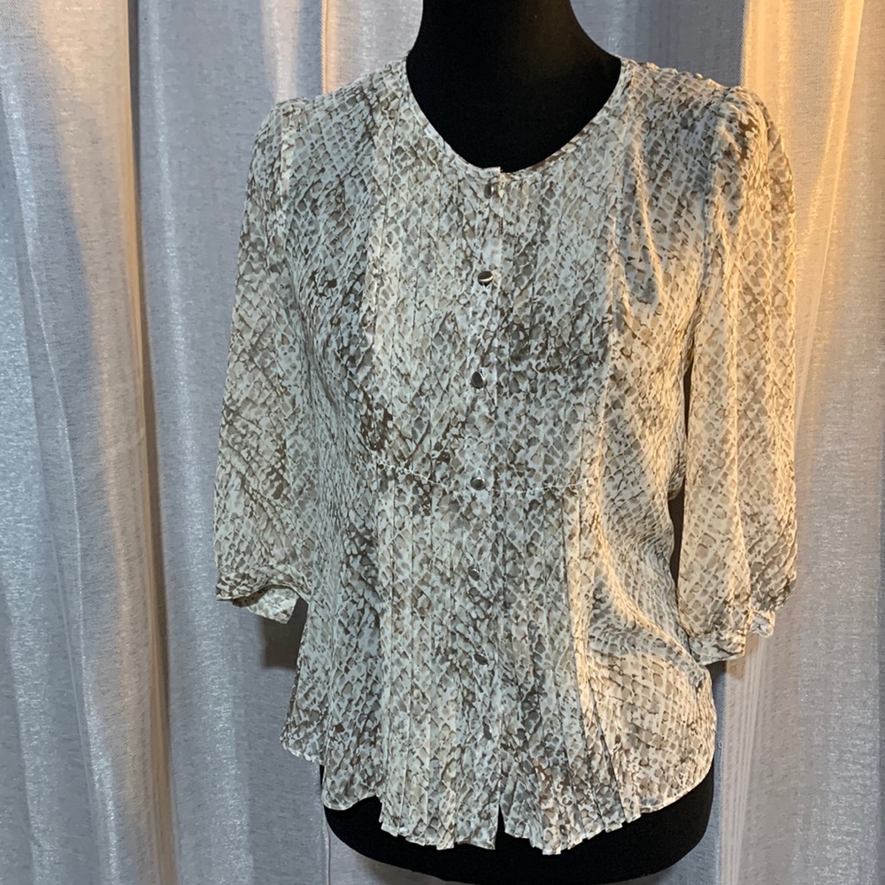 Talbots Neutral Pleated Blouse w/ Front Buttons, Size 2P